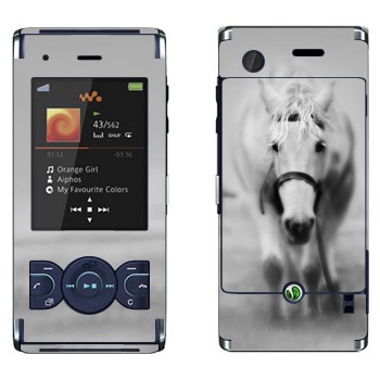 Sony Ericsson W595