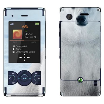   « »   Sony Ericsson W595