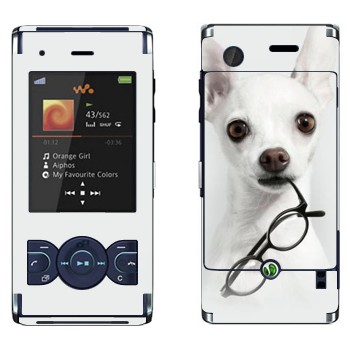 Sony Ericsson W595