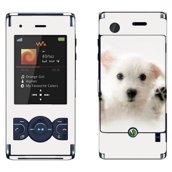   « »   Sony Ericsson W595