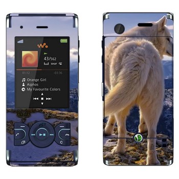   « »   Sony Ericsson W595