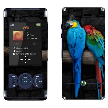   «  »   Sony Ericsson W595