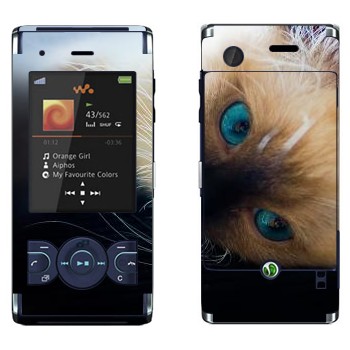   « »   Sony Ericsson W595