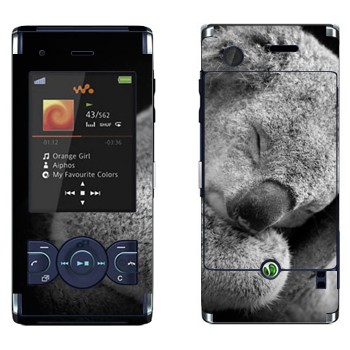   « »   Sony Ericsson W595