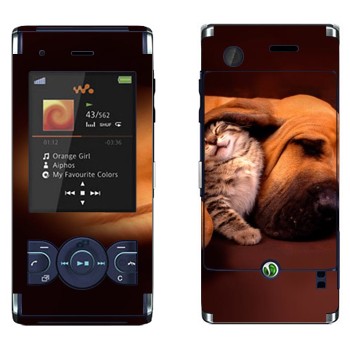   «  »   Sony Ericsson W595