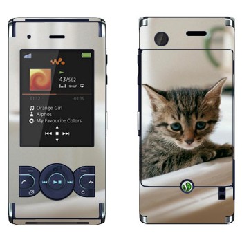   «  »   Sony Ericsson W595