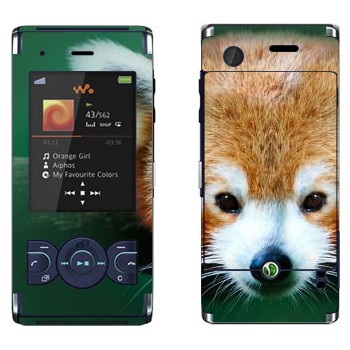   « »   Sony Ericsson W595