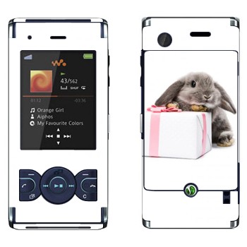   «  »   Sony Ericsson W595