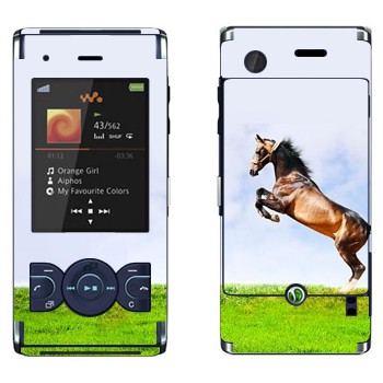   «    »   Sony Ericsson W595