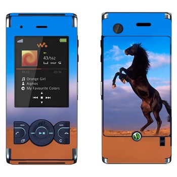   «  »   Sony Ericsson W595