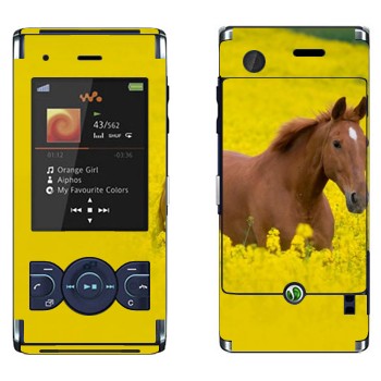   «  »   Sony Ericsson W595