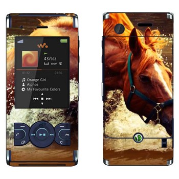   «  »   Sony Ericsson W595