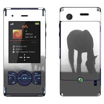   «  »   Sony Ericsson W595