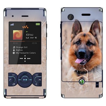   «  »   Sony Ericsson W595