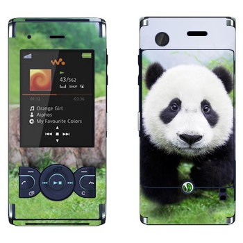   «  »   Sony Ericsson W595