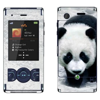 Sony Ericsson W595