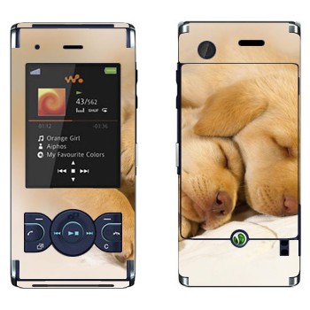   « »   Sony Ericsson W595