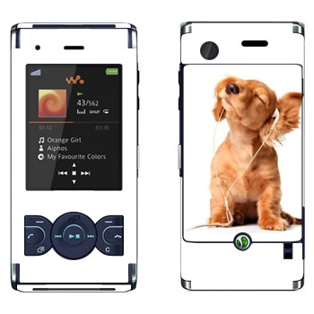   «  »   Sony Ericsson W595