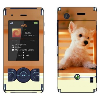 Sony Ericsson W595