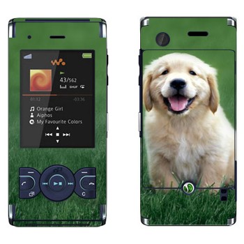   «  »   Sony Ericsson W595