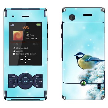   «  »   Sony Ericsson W595