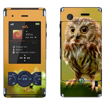   «  »   Sony Ericsson W595