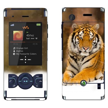   « »   Sony Ericsson W595