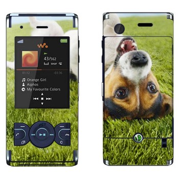   «   »   Sony Ericsson W595