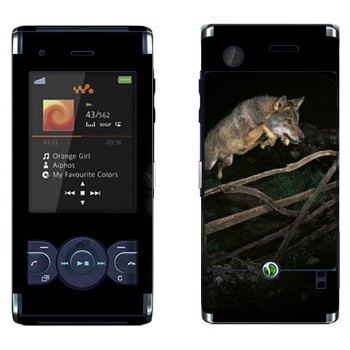   «  »   Sony Ericsson W595