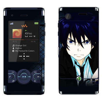   « no exorcist»   Sony Ericsson W595