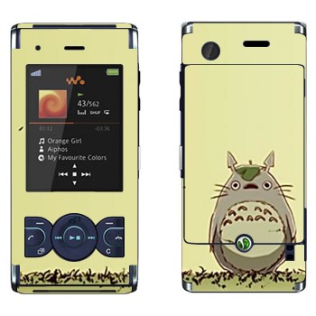 Sony Ericsson W595