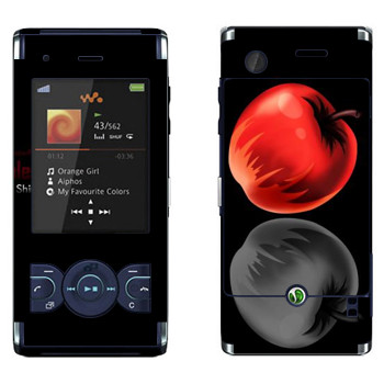   «  - »   Sony Ericsson W595