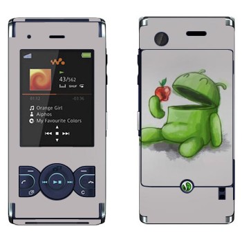 Sony Ericsson W595