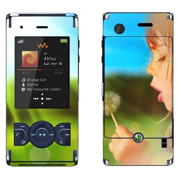   «  »   Sony Ericsson W595