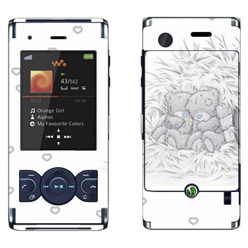 Sony Ericsson W595