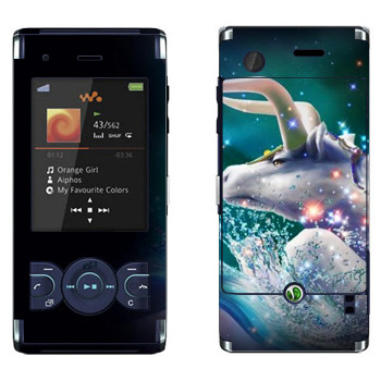   «  »   Sony Ericsson W595