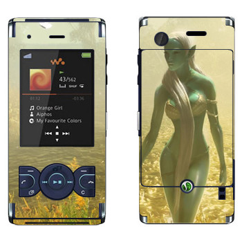   «Drakensang»   Sony Ericsson W595