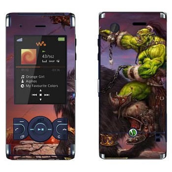   «  - World of Warcraft»   Sony Ericsson W595