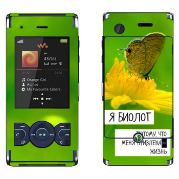   « »   Sony Ericsson W595