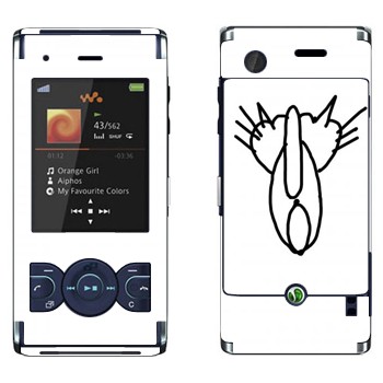 Sony Ericsson W595