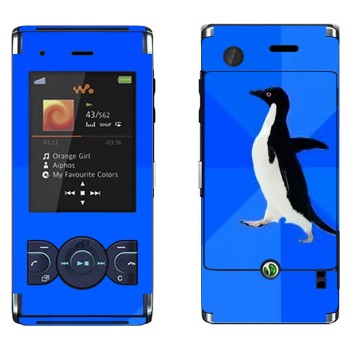   «  »   Sony Ericsson W595