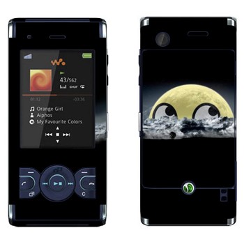   «  »   Sony Ericsson W595