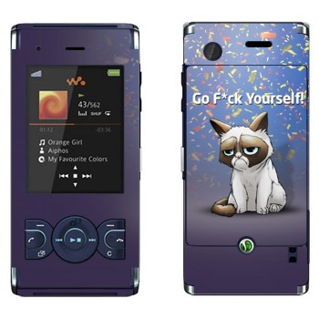 Sony Ericsson W595