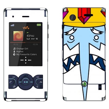   «  - Adventure Time»   Sony Ericsson W595