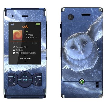   «  »   Sony Ericsson W595