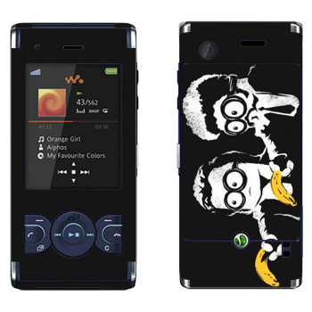 Sony Ericsson W595