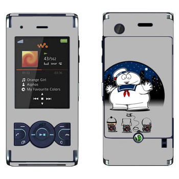 Sony Ericsson W595