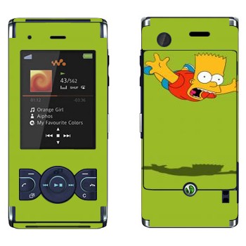 Sony Ericsson W595