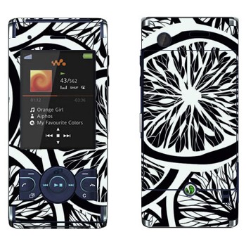   «- »   Sony Ericsson W595