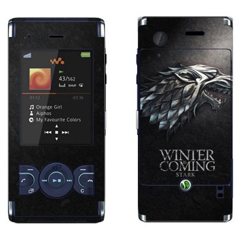   «  »   Sony Ericsson W595